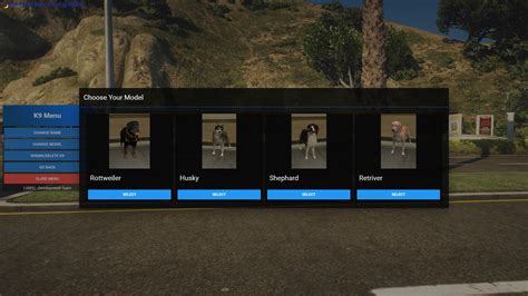 How to Put K9 Script In 的图像结果