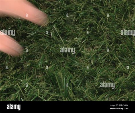 Touching Grass Tutorial 的图像结果