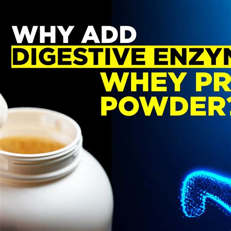 Why Add Digestive Enzymes To Whey Protein Powder? – Fitspire