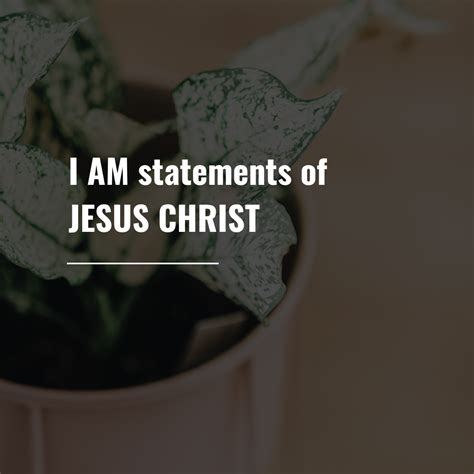 The I Am Statements of Jesus - [Free Printable pdf] - Lift Your Name