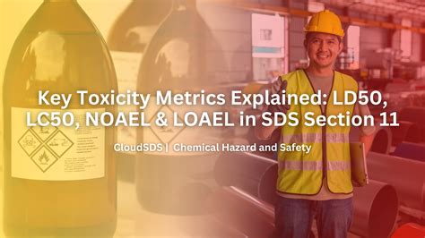 Key Toxicity Metrics Explained: LD50, LC50, NOAEL & LOAEL in SDS Section 11