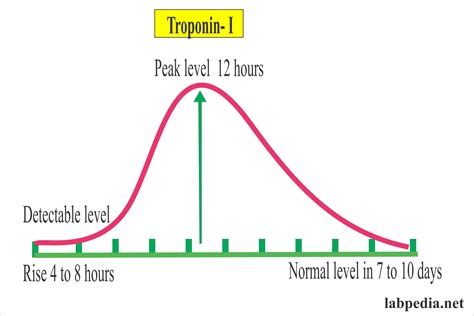 Cardiac Marker – Part 3 – Troponins, Troponin-T, Troponin-I and Acute Myocardial Infarction ...