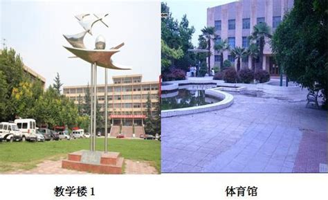 咸阳市十大小学排名一览表-咸阳市的小学有哪些-排行榜123网