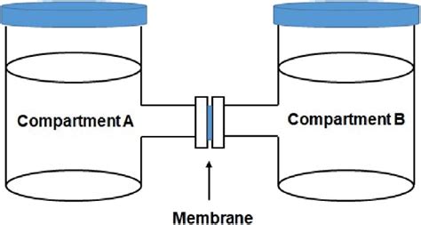 Image result for Cell Diffusion Microscope