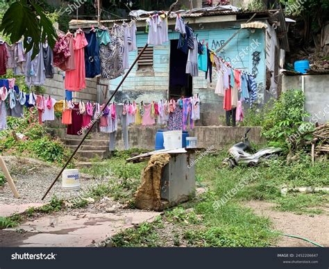 289 Jamaica Poverty Royalty-Free Images, Stock Photos & Pictures | Shutterstock
