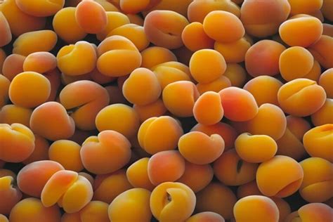 Image result for Spring and Spring Boot Fruits Example