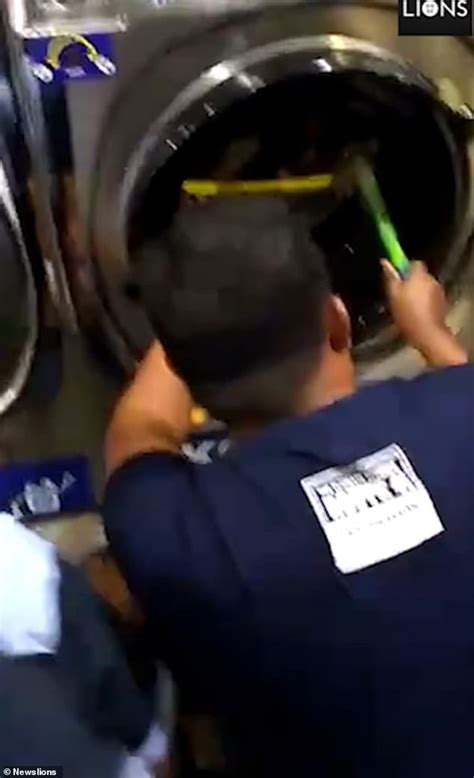 Stuck Inside Washing Machine 的图像结果