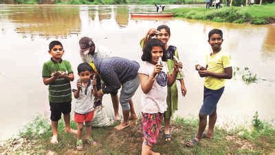 Krishna: Dead Fish Float In Krishna River, Locals Blame Effluent ...