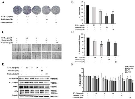 Anti-Cancer Potential of Isoflavone-Enriched Fraction from Traditional ...