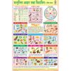 BALANCED DIET (HINDI) CHART SIZE 50 X 75 CMS