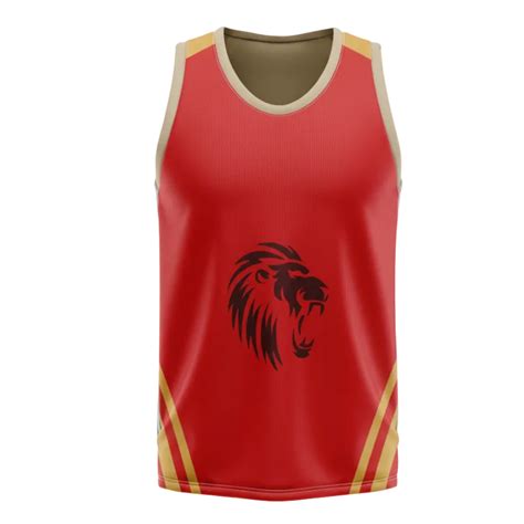 Next Print Ipl Punjab Design Basketball Jersey