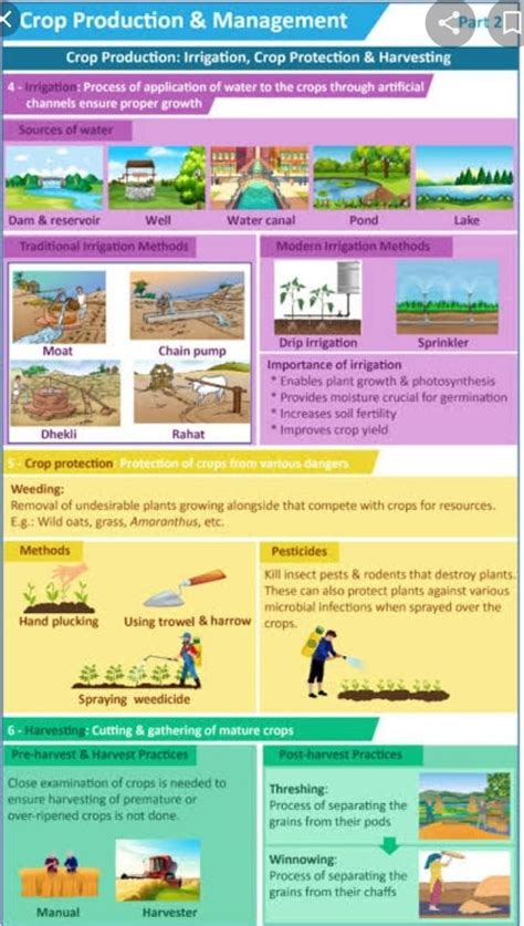 project file diagram pic on crop production and management - Brainly.in