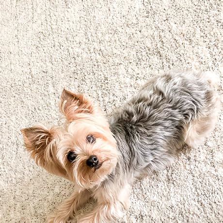 PDI H59200 Sani-Cloth AF3 Wipes, Large Individual Packets, Pack, 50 ...