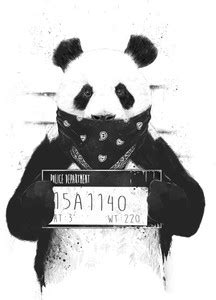 Baby Pnada Poster, Kung fu panda & Panda Poster & animals POSTERS ...