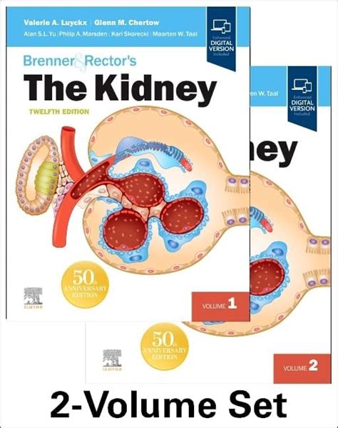 Buy BRENNER AND RECTORS THE KIDNEY 2 VOL SET 12ED (HB 2026) Book Online ...