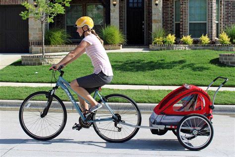 Bike Trailer Reviews 的图像结果