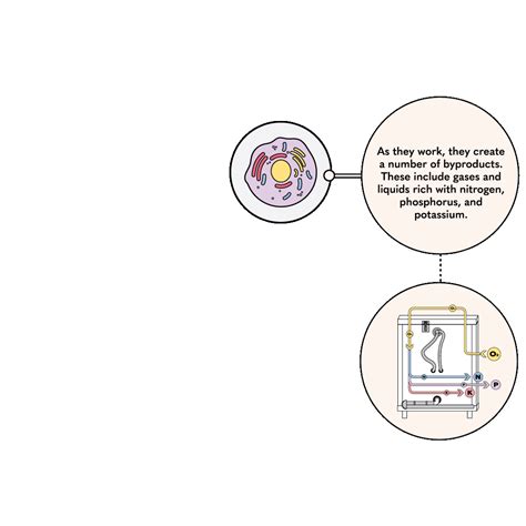 Image result for Human Corpse Composting