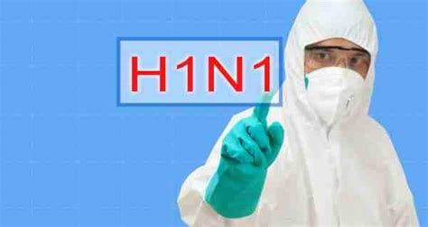 Swine flu in India: Centre to provide logistic support to states ...