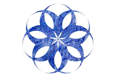 Apollo CSM 的图像结果