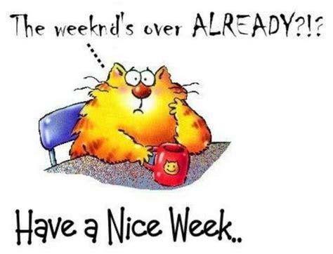Have A Nice Week - DesiComments.com