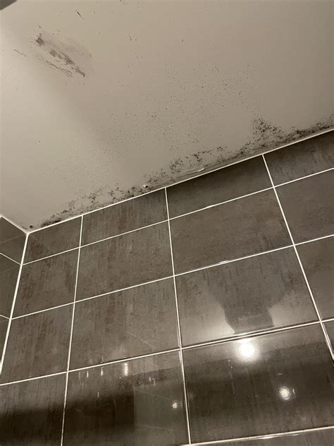 Remove Bathroom Mold Ceiling