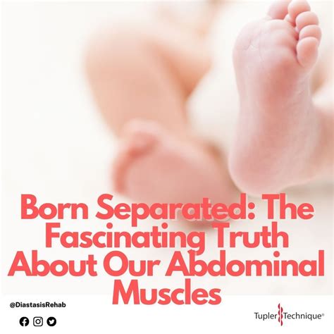 Julie Tupler on LinkedIn: #diastasis #protrusion #prolapse #wellness # ...