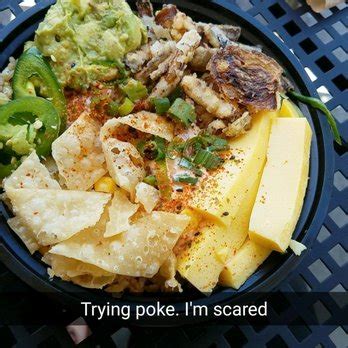 Image result for Project Poke