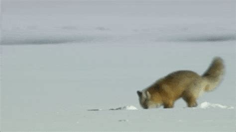 Image result for Vscode Debug JavaScript