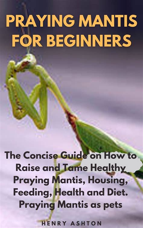PRAYING MANTIS FOR BEGINNERS: The Concise Guide on How to Raise and ...