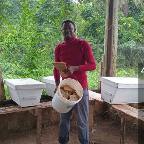 Oyinsaanu - Beekeeping teacher - ₹307/h