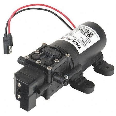 Delavan Fluid Power Diaphragm Pump, Polypropylene, Santoprene(R), 12VDC ...