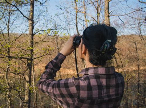Bird Hike at Pine Point Regional Park - St. Croix Valley Magazine