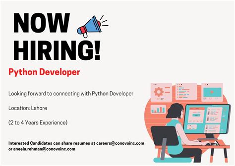Image result for Python Programmer Developer Jobs