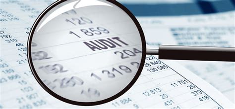 Forensic Audit Guide - India Dictionary