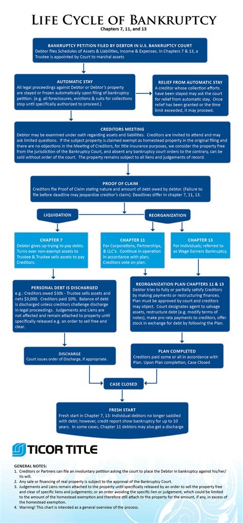 Explaining Chapter 11 Bankruptcy 的图像结果