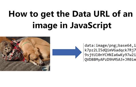 Image result for Download Image From URL JavaScript