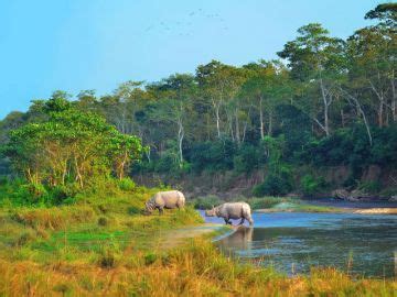 Ecstatic 4 Days Kathmandu to Pokhara Family Tour Package | chitwan ...