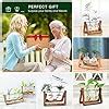 Art Grotto India Hydroponic Double Glass with Pine Wood Stand Indoor ...