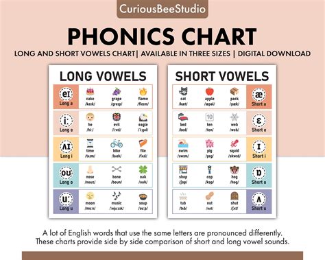 Long and Short Vowels Phonics Chart for Kids, Teaching Aid for English Classroom and Homeschool ...