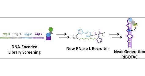 Library Screening 的图像结果