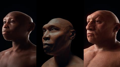 Homo Erectus Reconstruction