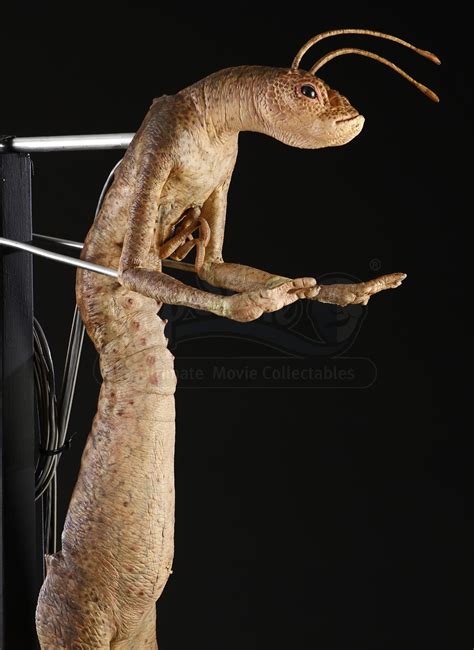 Formigas Do Homens De Preto - FDPLEARN