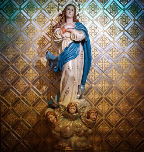 What Does Mary S Immaculate Conception Mean at Cecil Messer blog