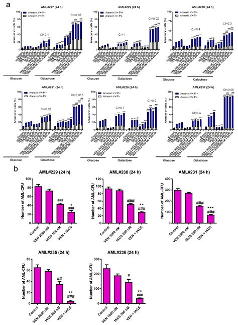 Cotargeting of Mitochondrial Complex I and Bcl-2 Shows Antileukemic ...