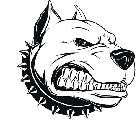 Pitbull coloring pages - ColoringLib