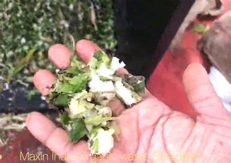 Organic Waste Shredder - Palm EFP Shredder Manufacturer from Coimbatore