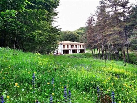 ELATIA HOTEL (Drama) - Hotel Reviews & Photos - Tripadvisor