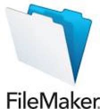 Image result for FileMaker ICO