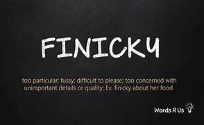 Image result for finicky