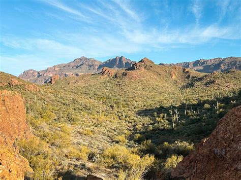 NEW Peralta Regional Park: Complete Hiking & Camping Guide - Karabou ...